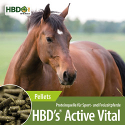HBD’s® ActiveVital