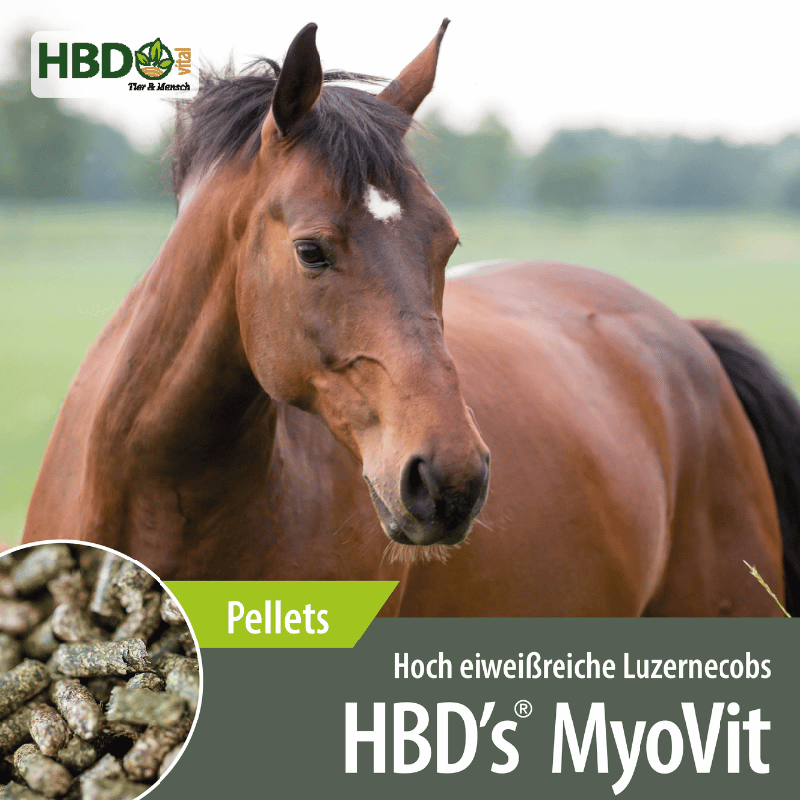 HBD’s® MyoVit